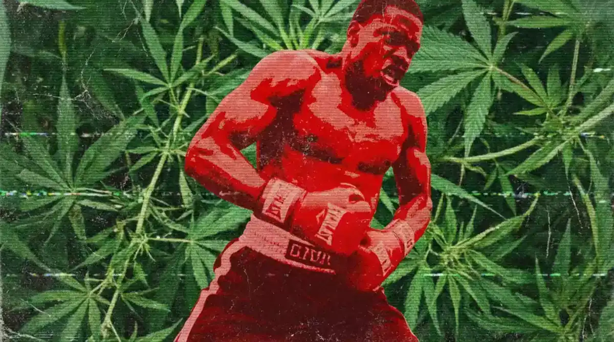 Official Higgsfield preview · Cannabis