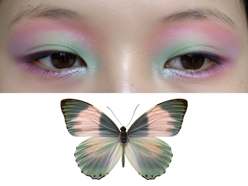 Object Makeup